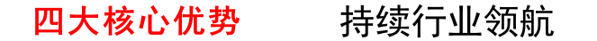公司優勢